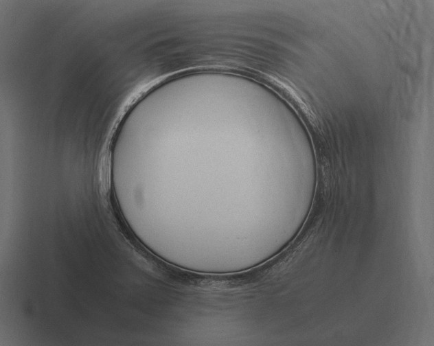 X0000116371371200912291702