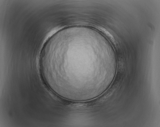 X0000116371373200912291702