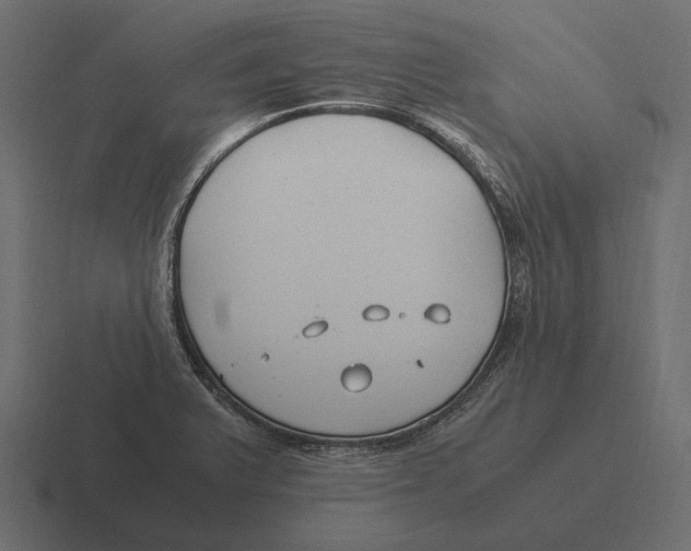 X0000116371375200912291702