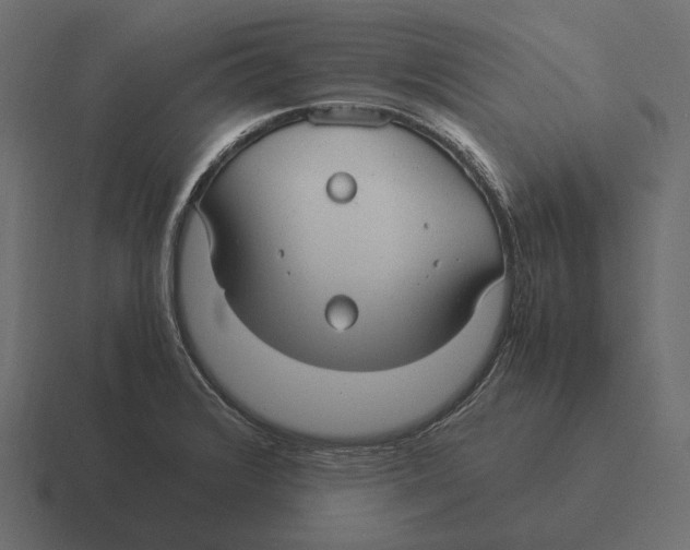 X0000116371376200912291702