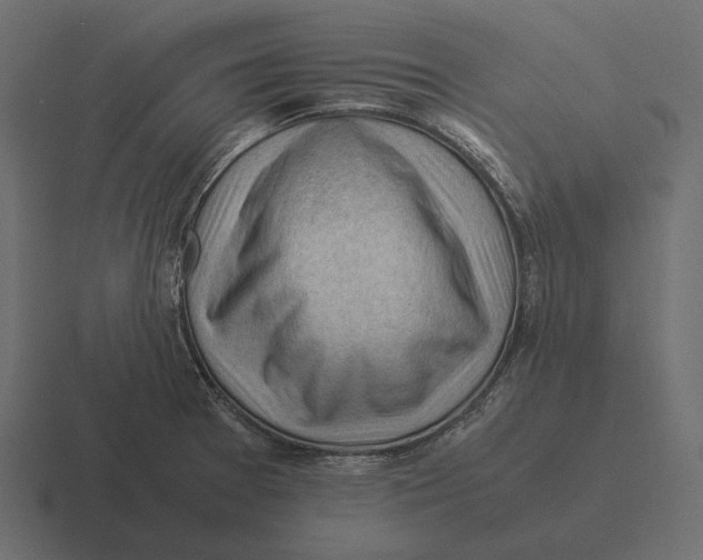 X0000116371377200912291702