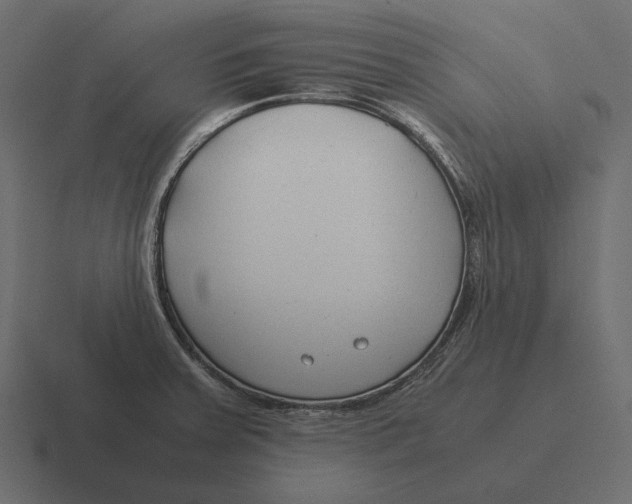 X0000116371379200912291702