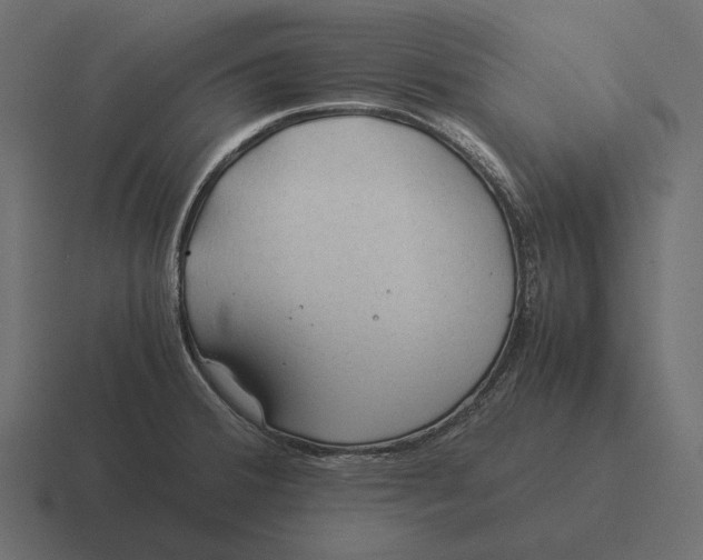 X0000116371380200912291702