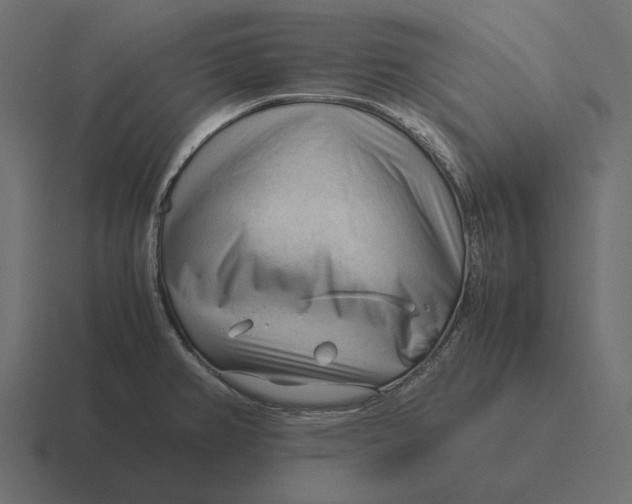 X0000116371382200912291702