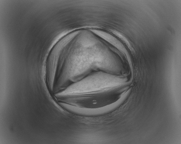 X0000116371383200912291702