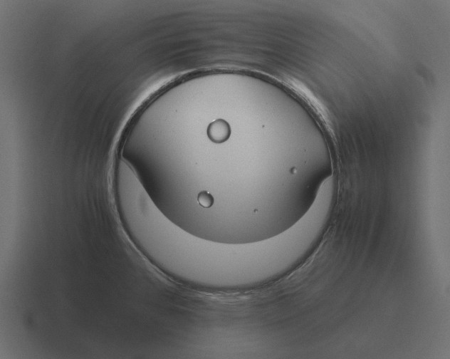 X0000116371384200912291702