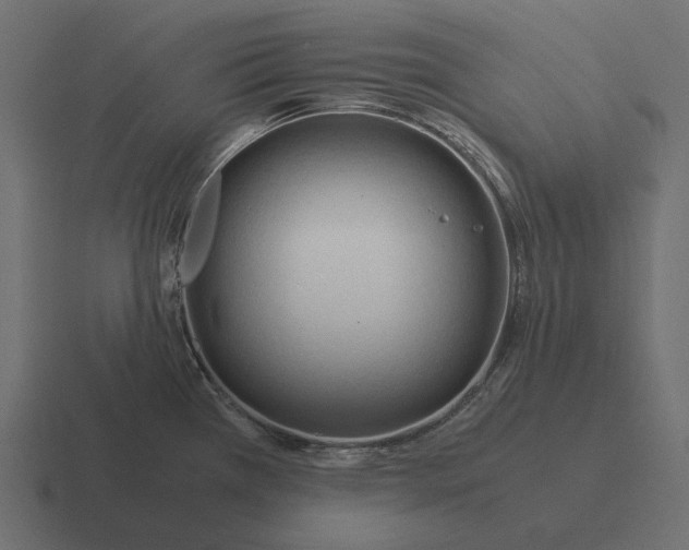 X0000116371385200912291702