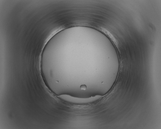 X0000116371386200912291702