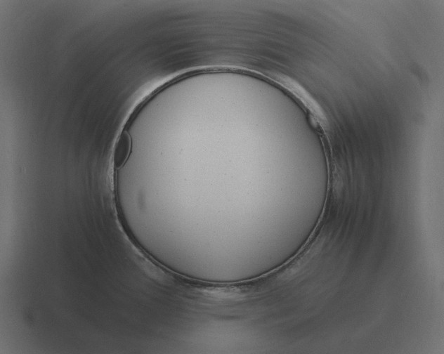 X0000116371388200912291702