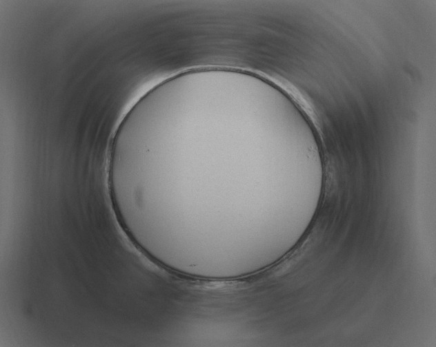 X0000116371390200912291702