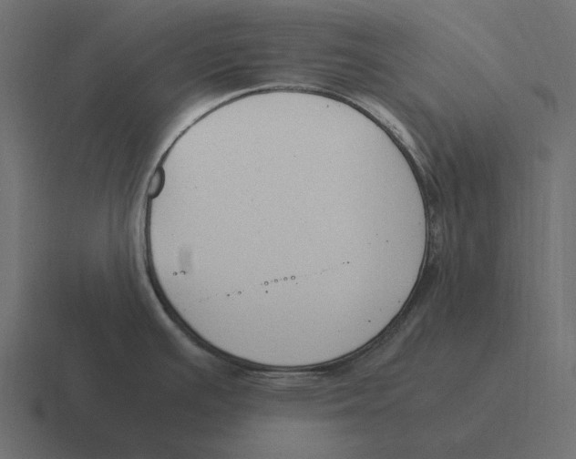 X0000116371391200912291702