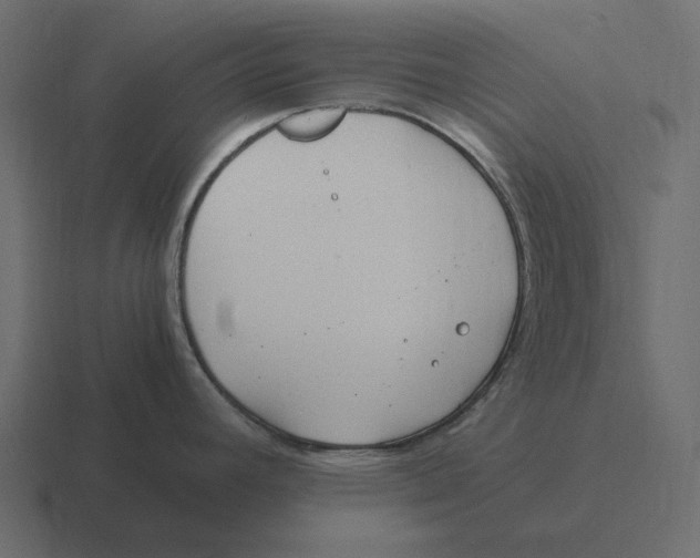 X0000116371392200912291702