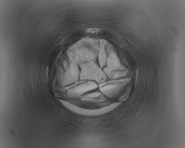 X0000116371394200912291701