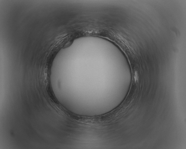 X0000116371396200912291701