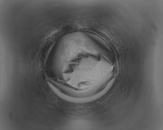 X0000116371398200912291701