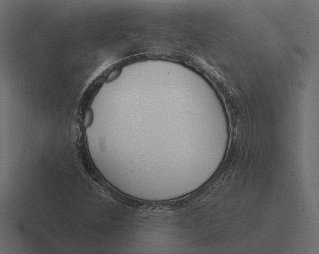 X0000116371400200912291701