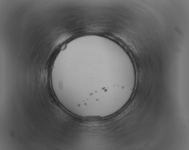 X0000116371402200912291701