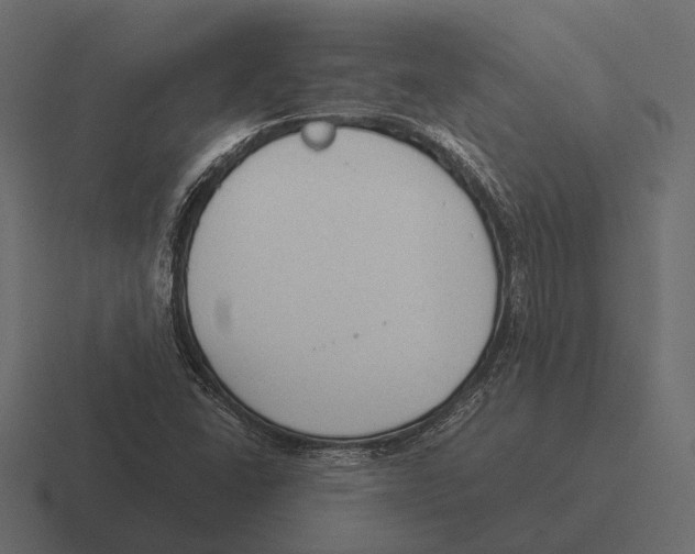 X0000116371406200912291701