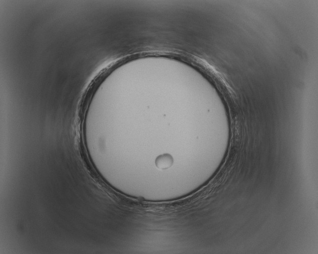 X0000116371408200912291701