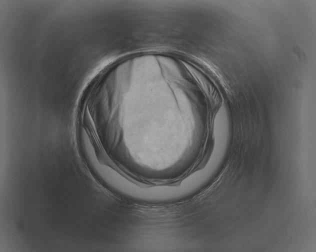 X0000116371414200912291701