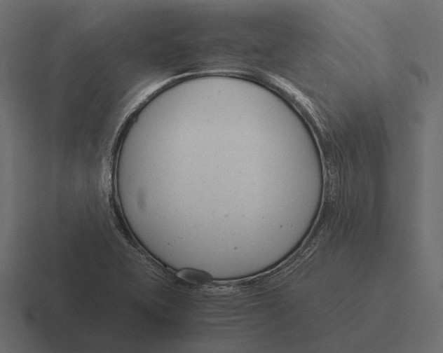 X0000116371415200912291701