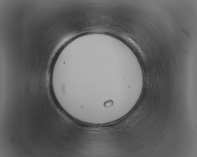 X0000116371416200912291701