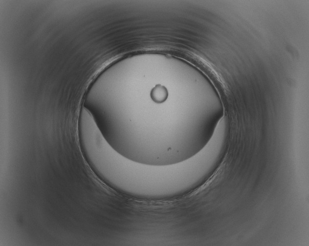 X0000116371417200912291701