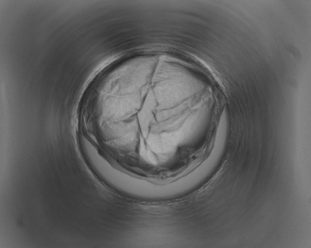 X0000116371418200912291701