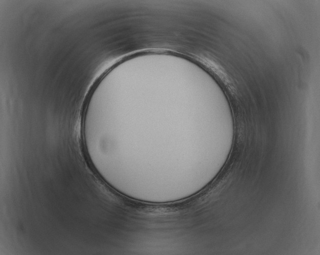 X0000116371420200912291701