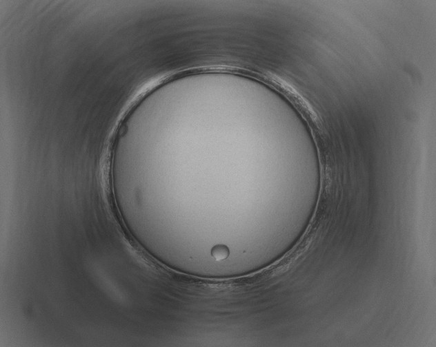 X0000116371421200912291701