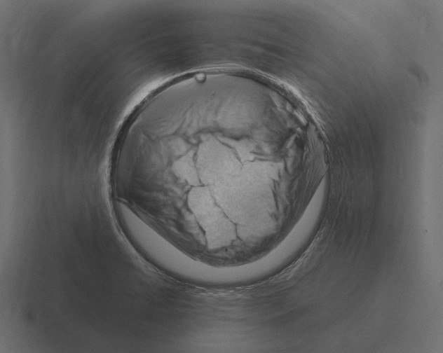 X0000116371422200912291701