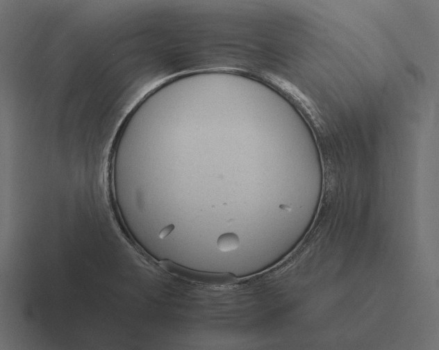 X0000116371423200912291701