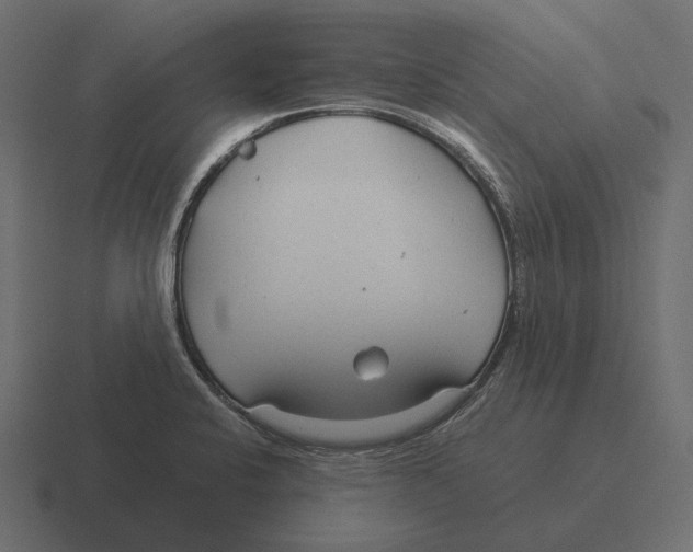 X0000116371424200912291702