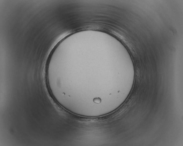 X0000116371426200912291702