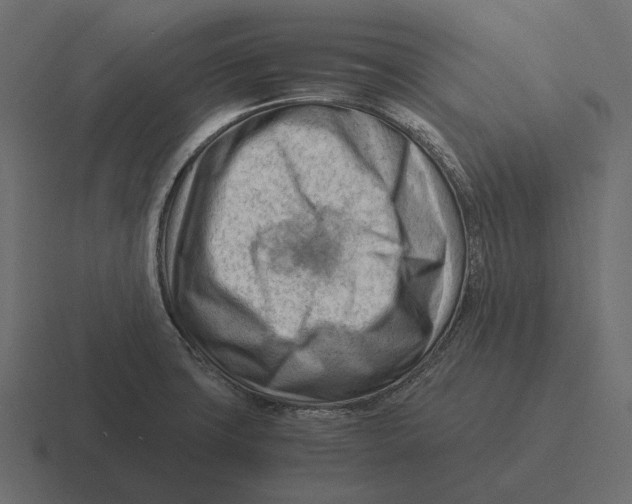 X0000116371427200912291702