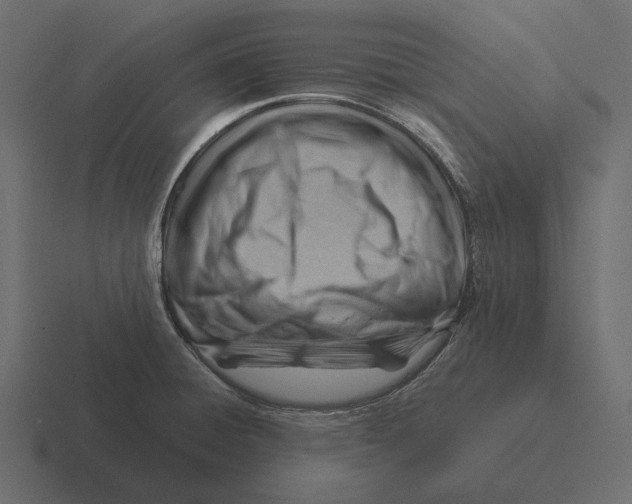 X0000116371428200912291702