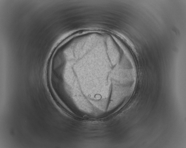 X0000116371429200912291702