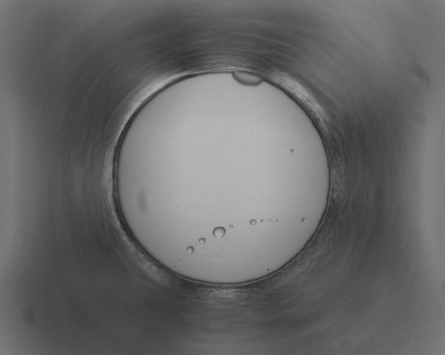 X0000116371431200912291702