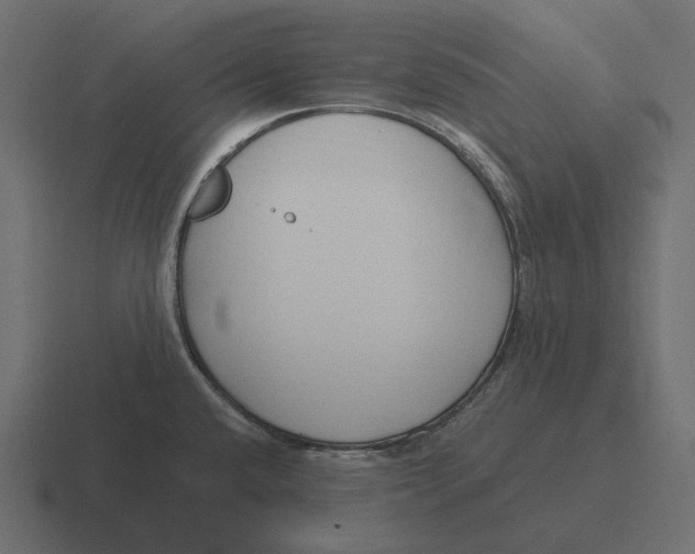 X0000116371432200912291702