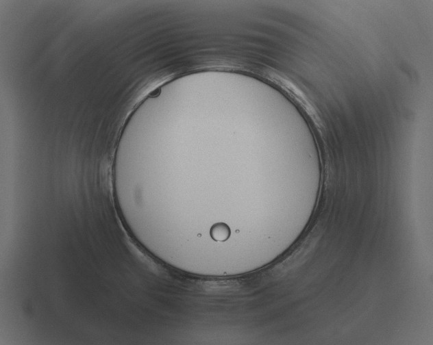 X0000116371433200912291702