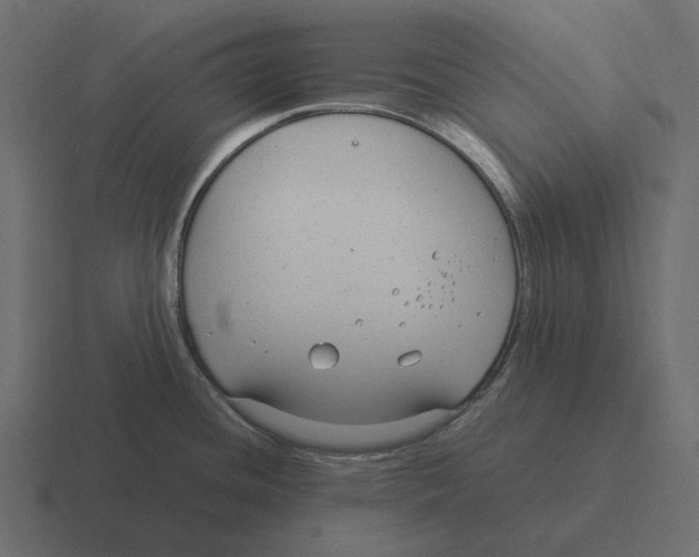 X0000116371436200912291702