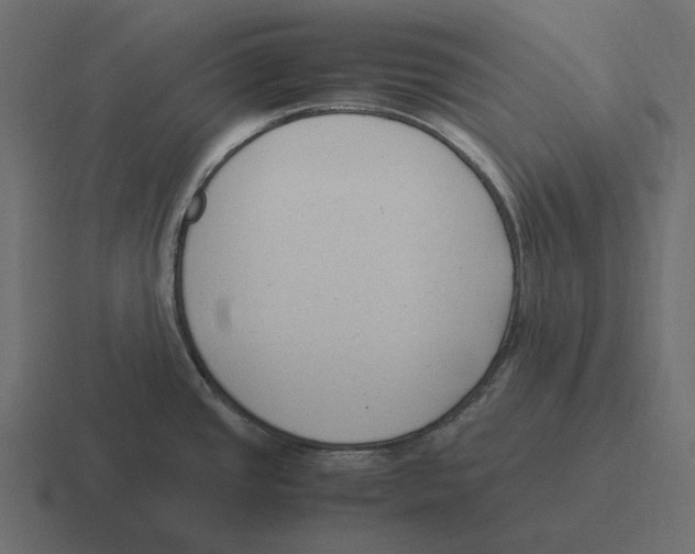 X0000116371437200912291702