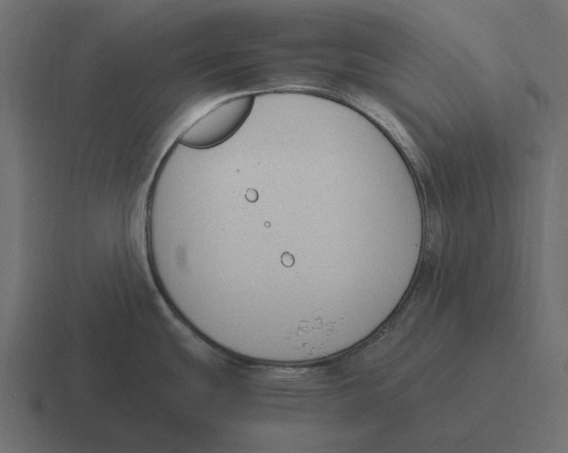 X0000116371439200912291702