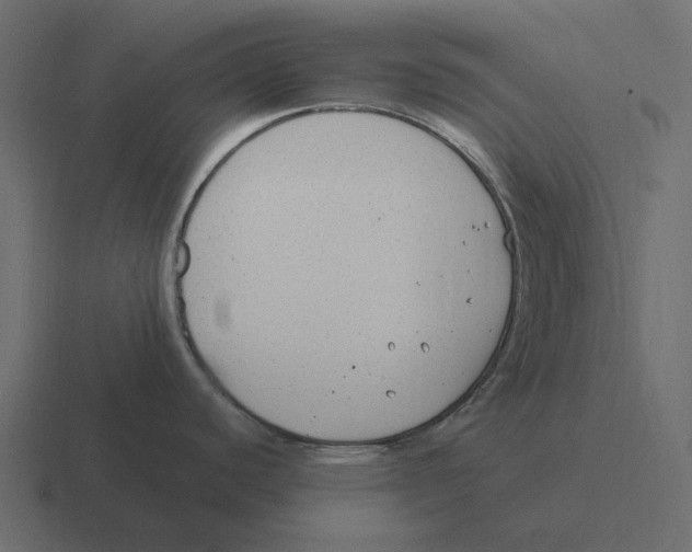 X0000116371440200912291702