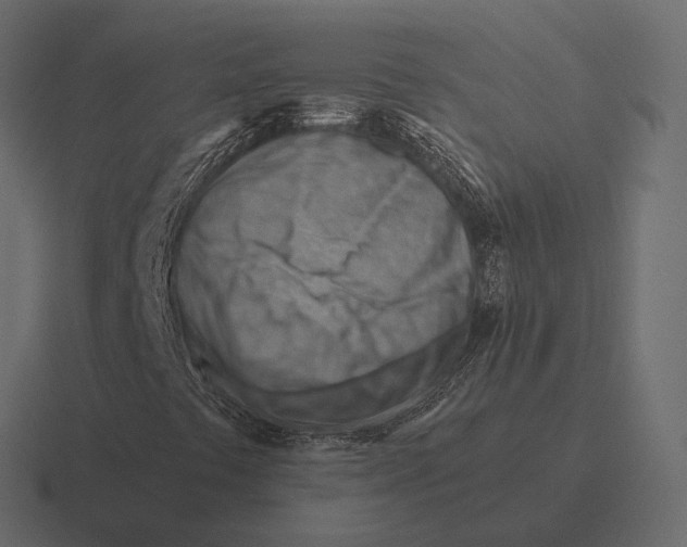 X0000116371441200912291701