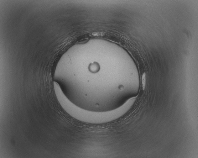 X0000116371443200912291701