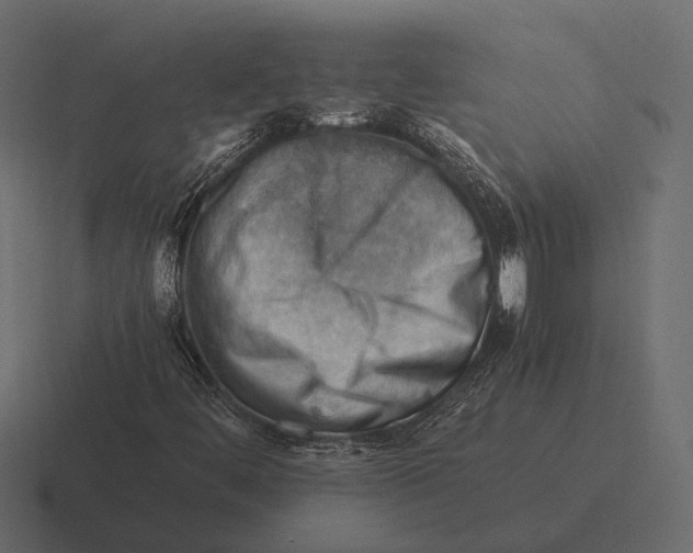 X0000116371444200912291701