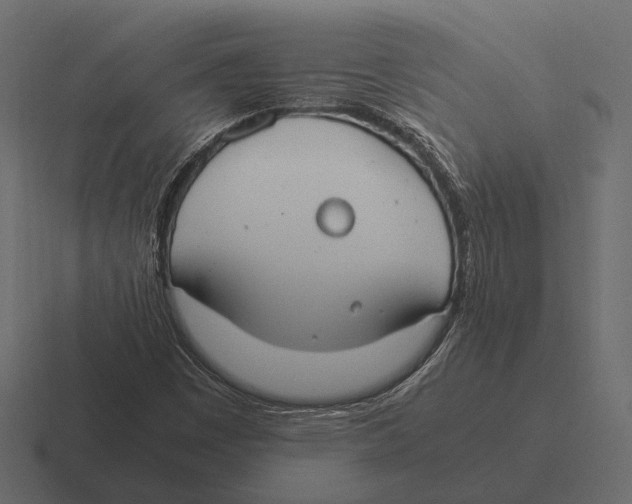 X0000116371449200912291701