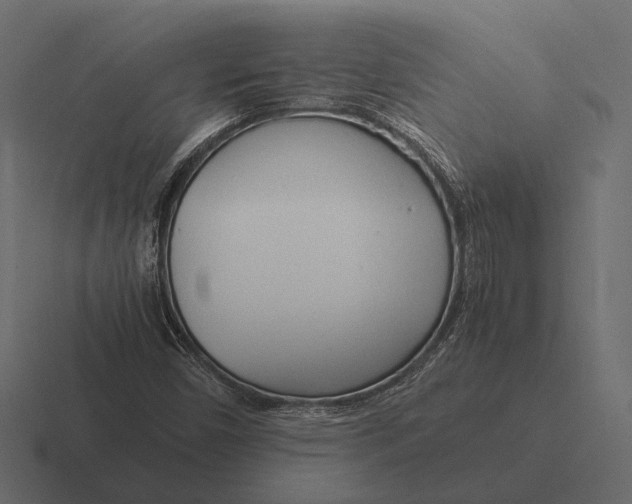 X0000116371450200912291701