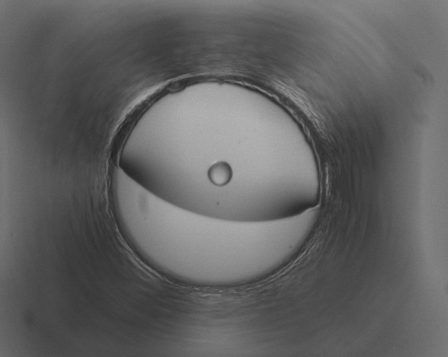 X0000116371452200912291701